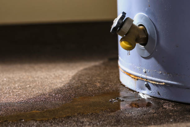 Best Commercial water damage restoration  in North Zanesville, OH