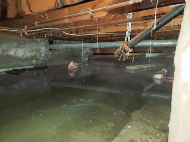 Best Flooded house restoration  in North Zanesville, OH
