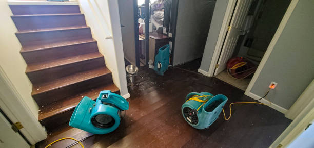 Best Fire Damage Restoration  in North Zanesville, OH
