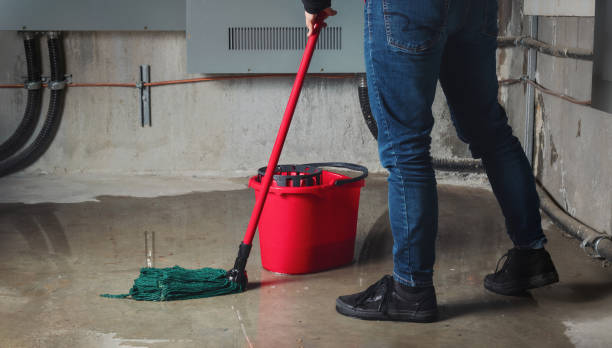 Best Ceiling water damage repair  in North Zanesville, OH