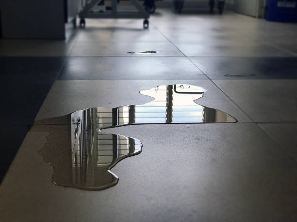 Best Water damage restoration near me  in North Zanesville, OH