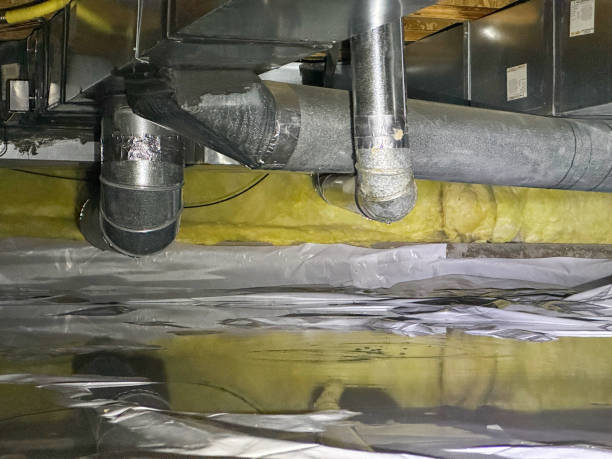 Best Water damage contractors near me  in North Zanesville, OH