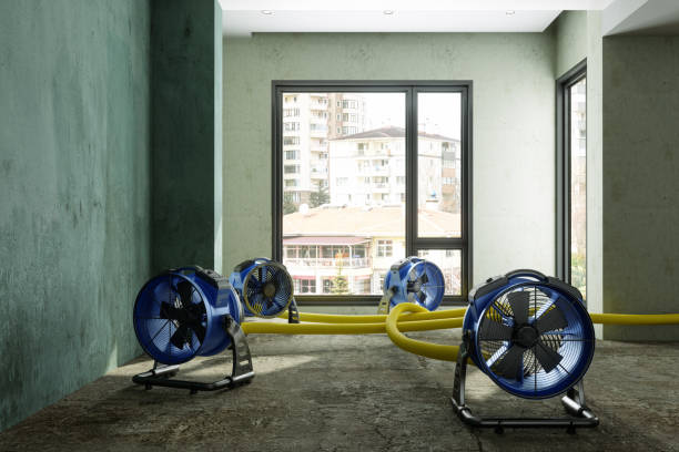 Best Water damage cleanup near me  in North Zanesville, OH
